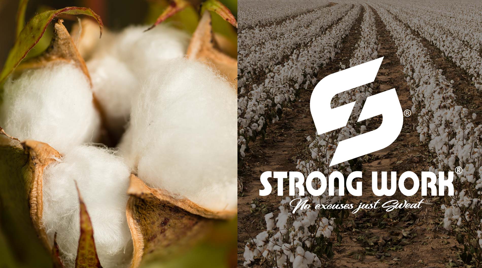vêtement de sport éco-responsable - Strong Work